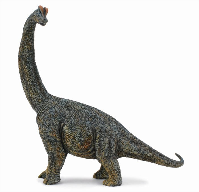 CollectA Brachiosaurus Deluxe 1:40 Scale Figurine DLX (6899038748854)