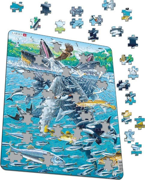Larsen Maxi Puzzle Humpback Whales - 140 pieces (6822795739318)