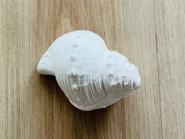 Lanco Karacola Whelk Shell Bath Toy (White) (6822853673142)