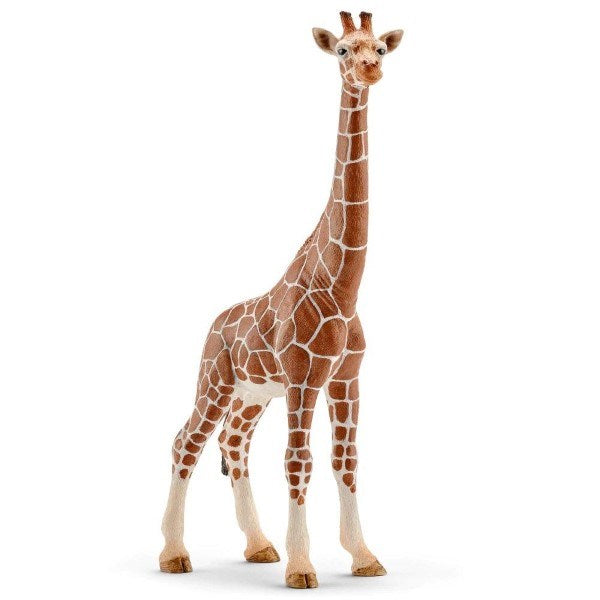 Schleich 14750 - Giraffe Female (7698206851298)