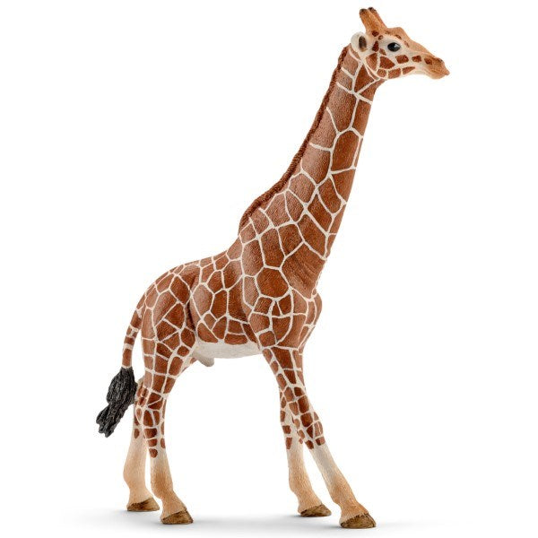 Schleich 14749 - Giraffe Male (6823101071542)
