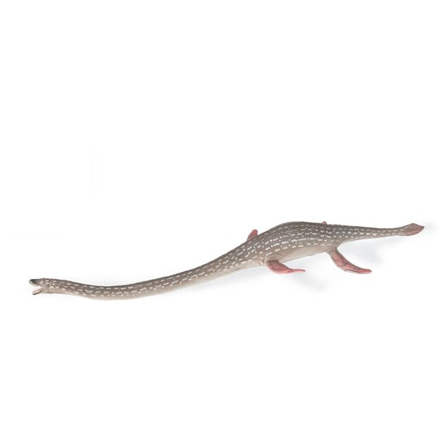 CollectA Elasmosaurus Figurine L (7773056041186)