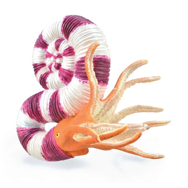 CollectA Pravitoceras Figurine L (8030084858082)