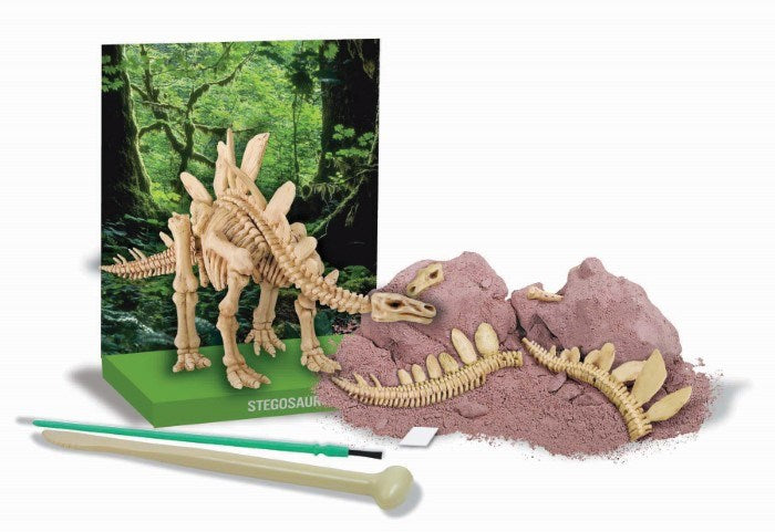 4M Science Stegosaurus Skeleton (7875448176866)