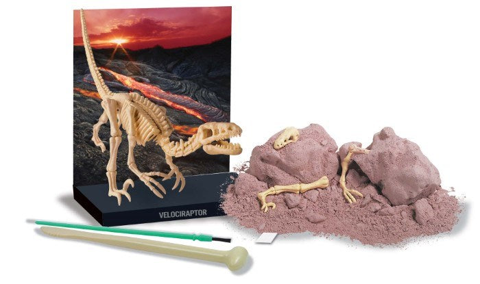 4M Science Velociraptor Skeleton (8239119499490)