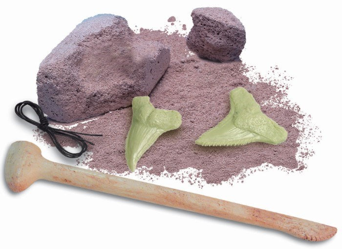 4M Science Dig a Glow Shark Tooth (8239117959394)