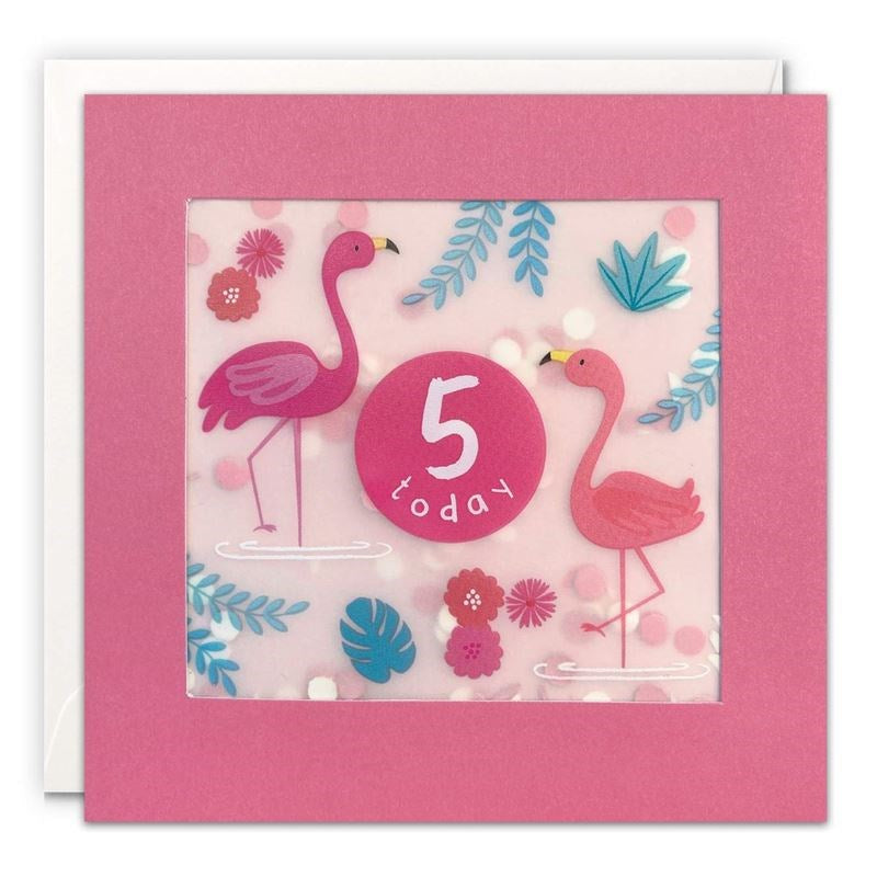 James Ellis - Age 5 Girl Flamingos - Shakies 5th Birthday Card (7726508998882)