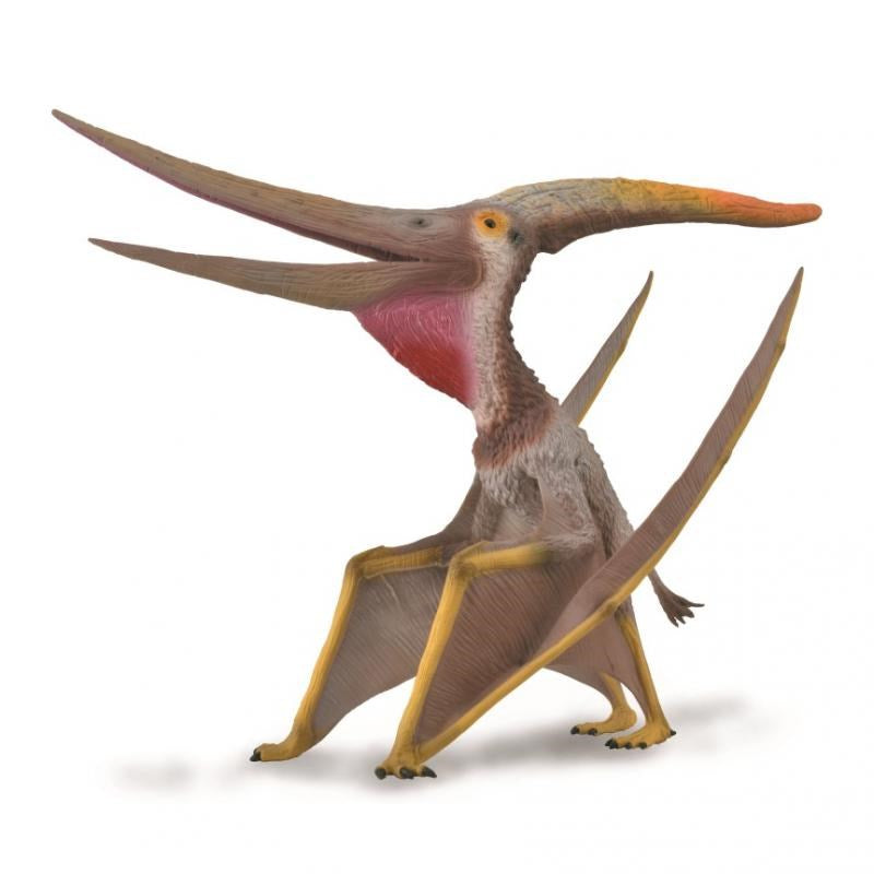 CollectA Pteranodon with Movable Jaw 1:40 Scale Figurine DLX (7773055975650)