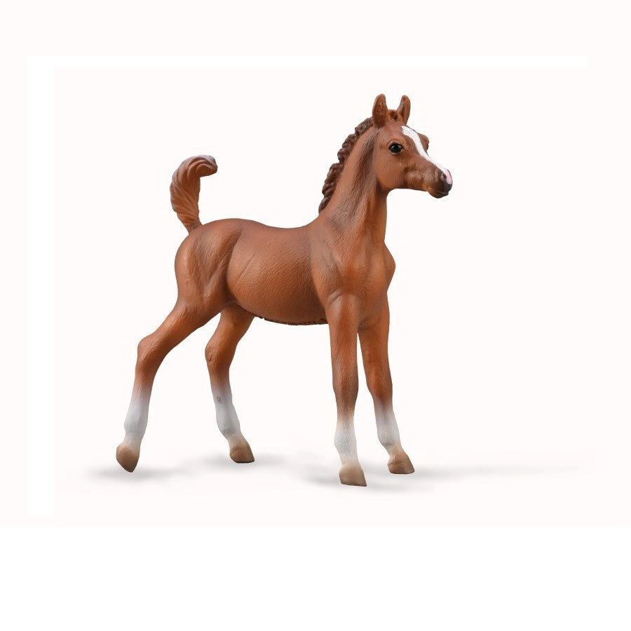 CollectA Arabian Foal - Chestnut (M) (8262293324002)