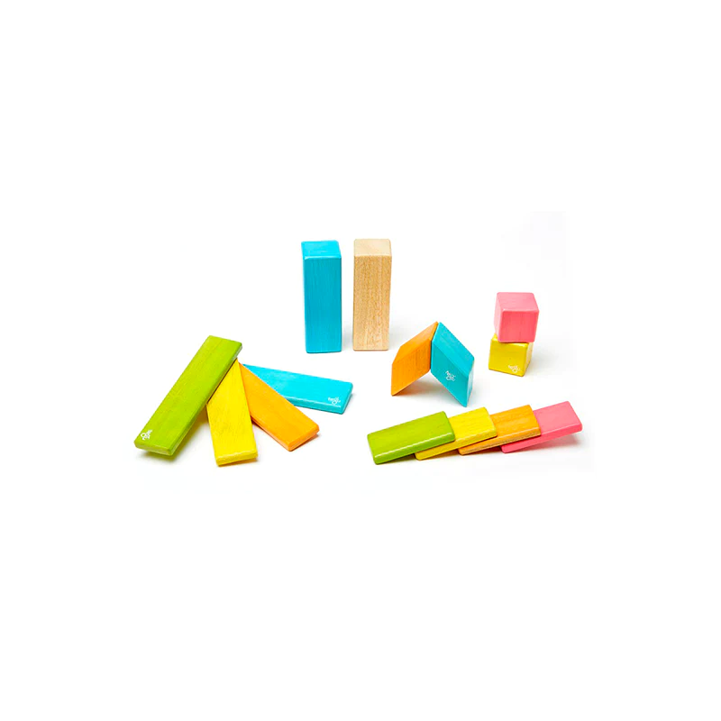 Tegu Magnetic Wooden Blocks 14pc Tints (8088877859042)