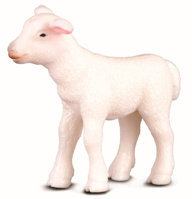 CollectA Lamb Standing Figurine S (8262282543330)