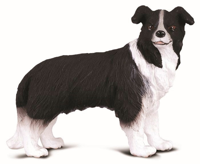 CollectA Border Collie Figurine M (8262282805474)