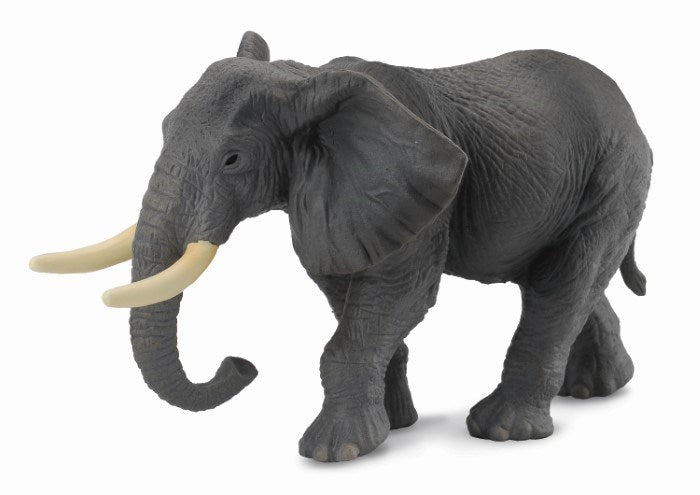 CollectA African Elephant Figurine XL (7738936328418)