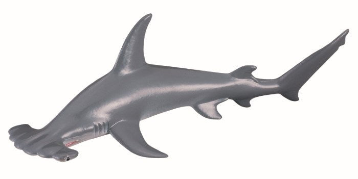 CollectA Scalloped Hammerhead Shark Figurine M (7726505623778)