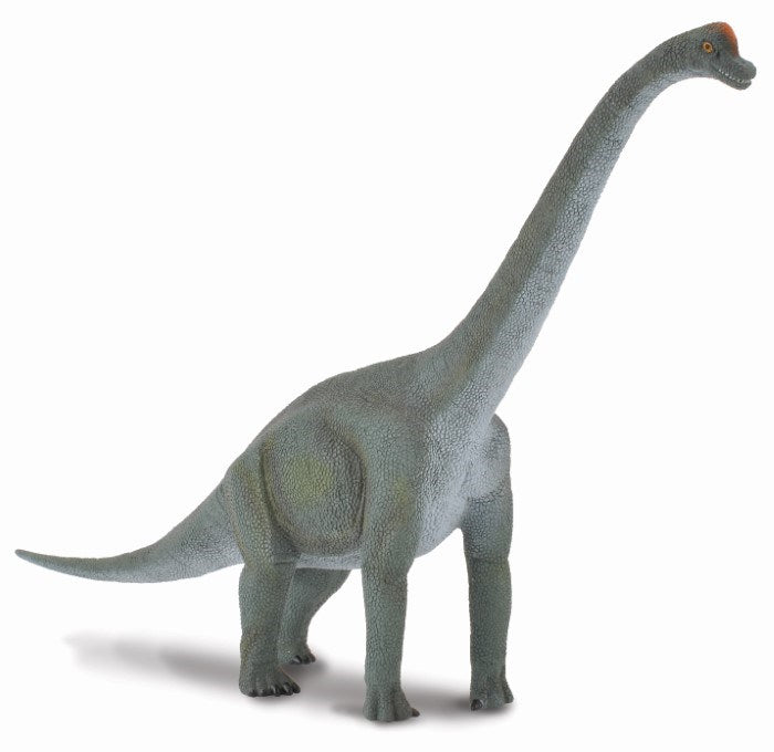 CollectA Brachiosaurus Figurine L (7463385891042)