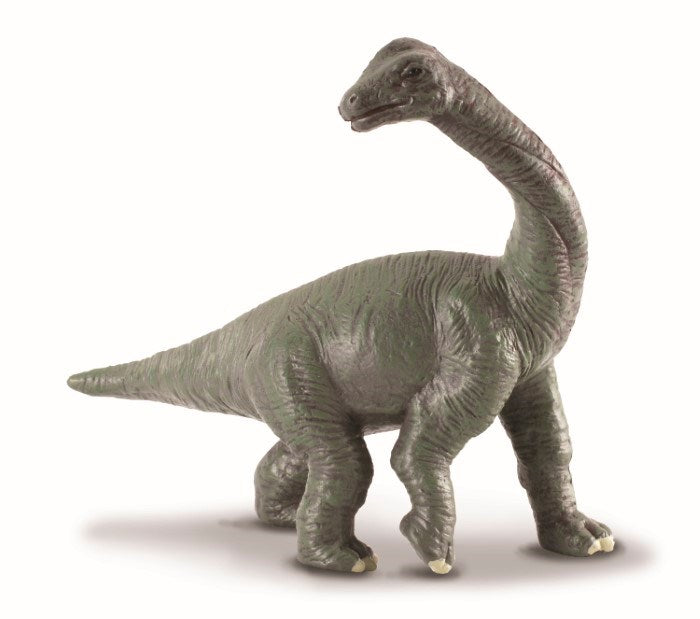CollectA Brachiosaurus Baby Figurine S (8262278054114)