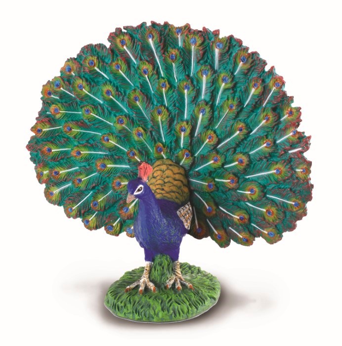 CollectA Peacock Figurine L (8262283296994)