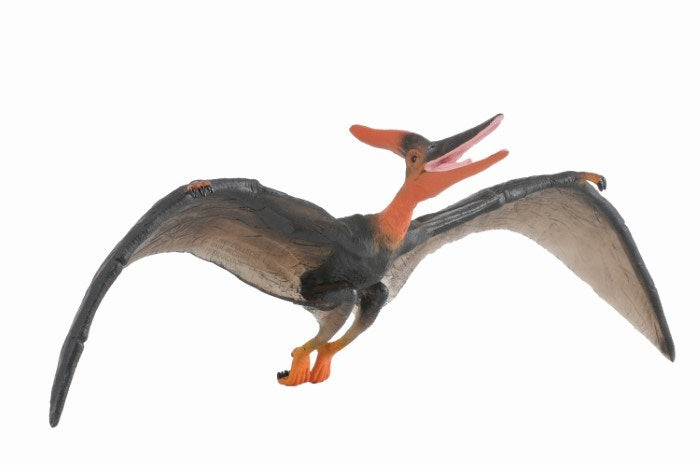 CollectA Pteranodon Deluxe 1:40 Scale BOXED Figurine (8030074962146)