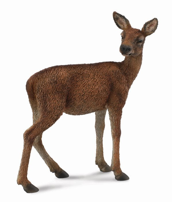 CollectA Red Deer Hind Figurine M (7726504509666)