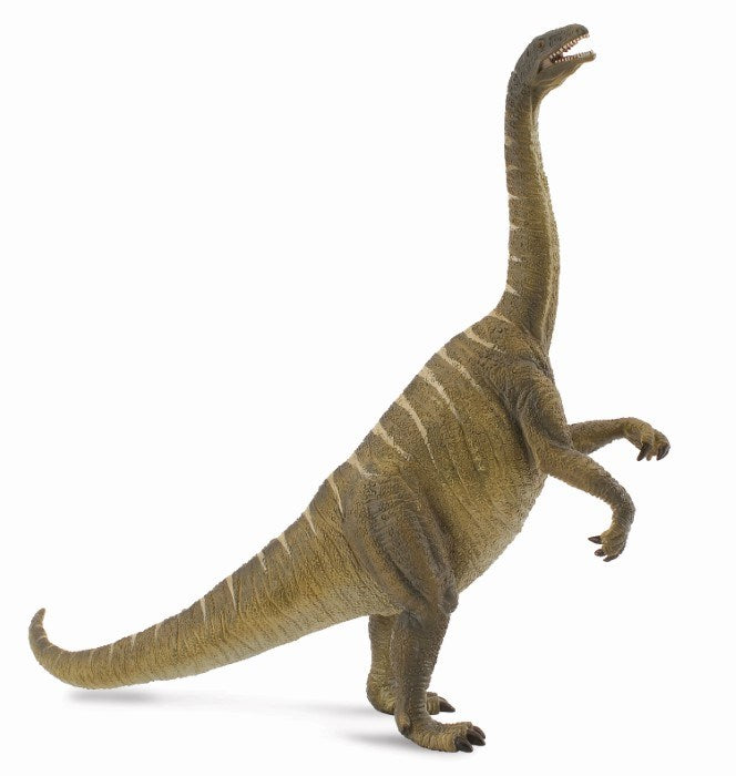 CollectA Plateosaurus Figurine L (6899034063030)