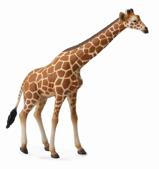 CollectA Reticulated Giraffe Figurine XL (8030078468322)