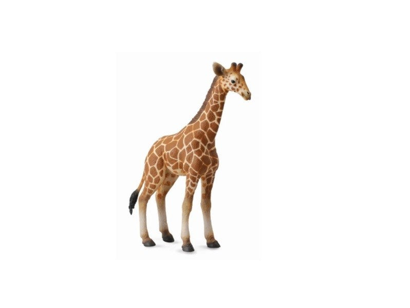 CollectA Reticulated Giraffe Calf Figurine L (8262281396450)