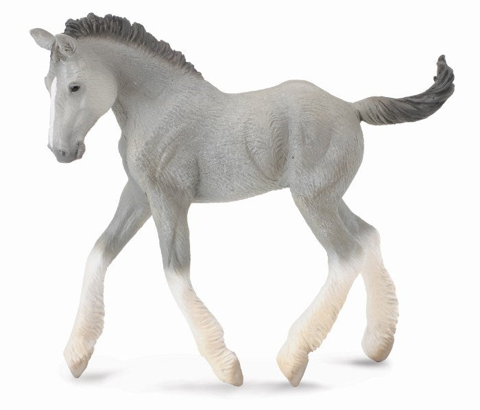 CollectA Shire Horse Foal Grey Figurine M (6899043532982)