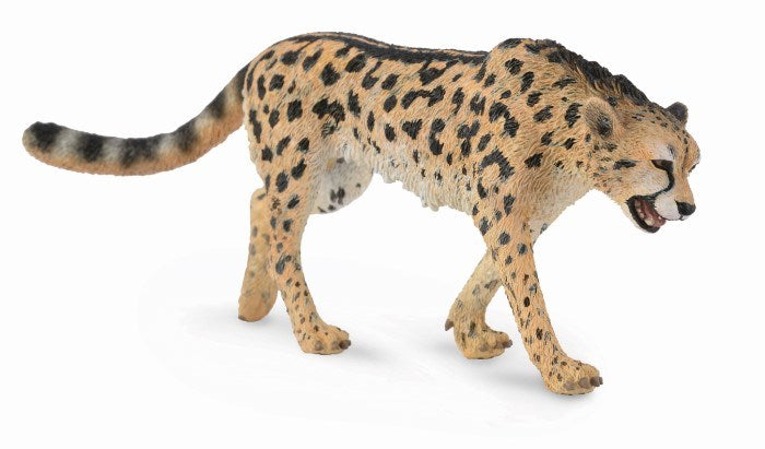 CollectA King Cheetah Figurine L (8262281134306)