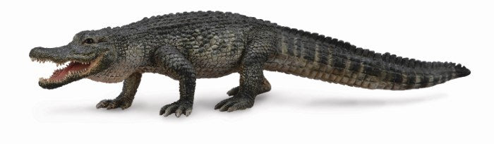 CollectA American Alligator Figurine L (7738934886626)