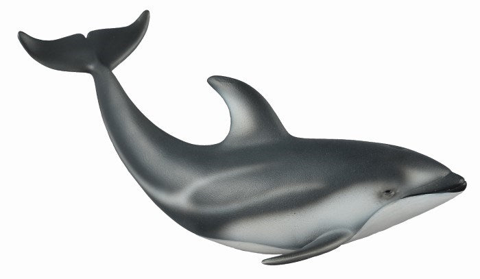 CollectA Pacific White-Sided Dolphin Figurine M (7738943144162)