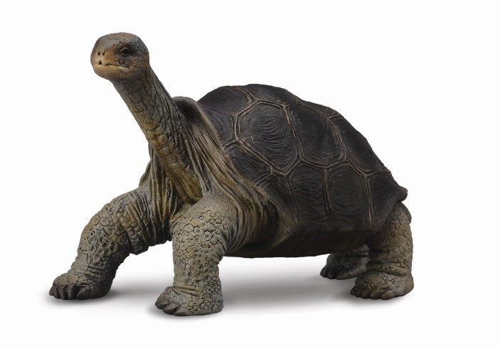 CollectA Pinta Island Tortoise George Figurine M (8262280577250)