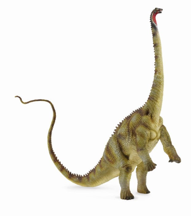 CollectA Diplodocus Figurine XL (6899036553398)