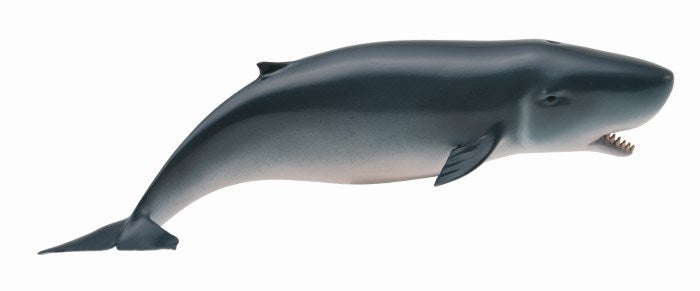 zCollectA Pygmy Sperm Whale Figurine M (6899068600502)