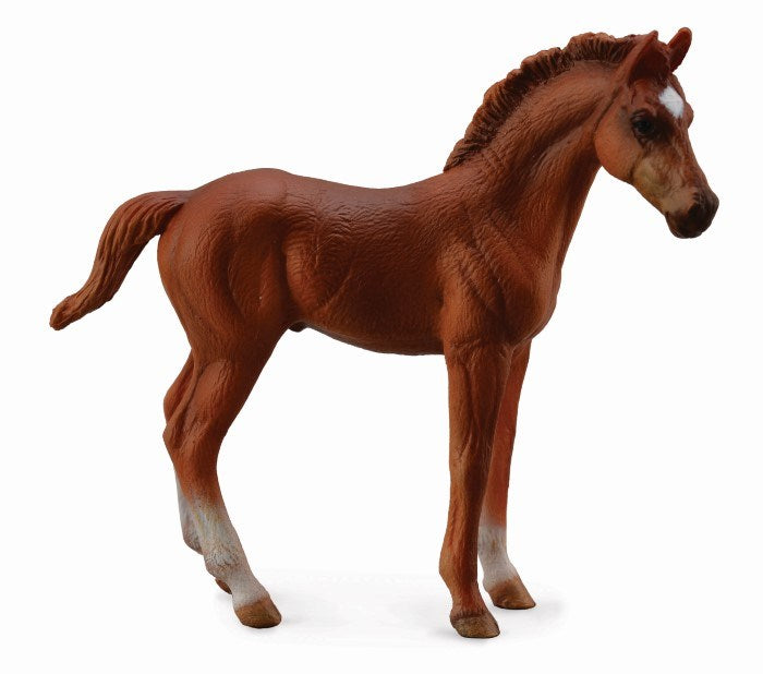 CollectA Thoroughbred Foal Standing Chestnut Figurine M (8262279069922)