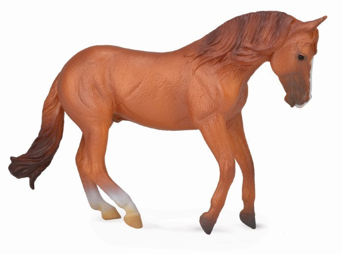 CollectA Aus. Stock Horse Stallion Chesnut Figurine XL (7726502150370)