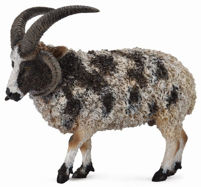 CollectA Jacob Sheep Figurine L (7726504247522)