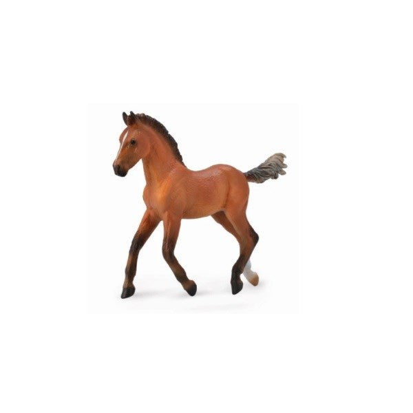 CollectA Hanoverian Foal Bay Figurine M (6899042025654)