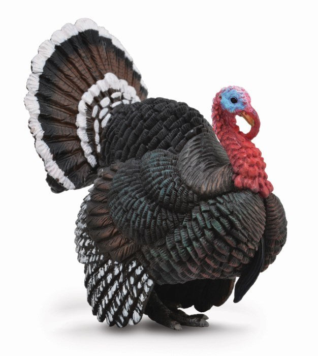 CollectA Turkey Figurine L (7726504378594)