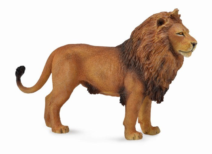 CollectA Africian Lion Figurine L (8262280872162)