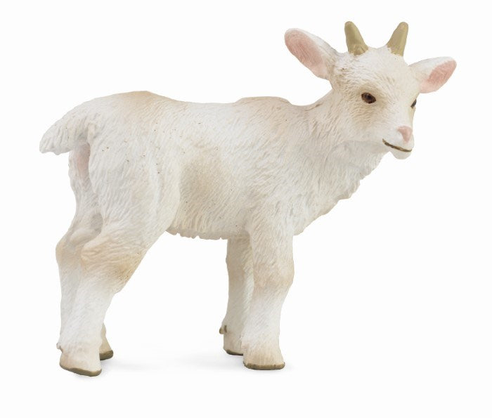 CollectA Goat Kid Standing Figurine S (8262282313954)