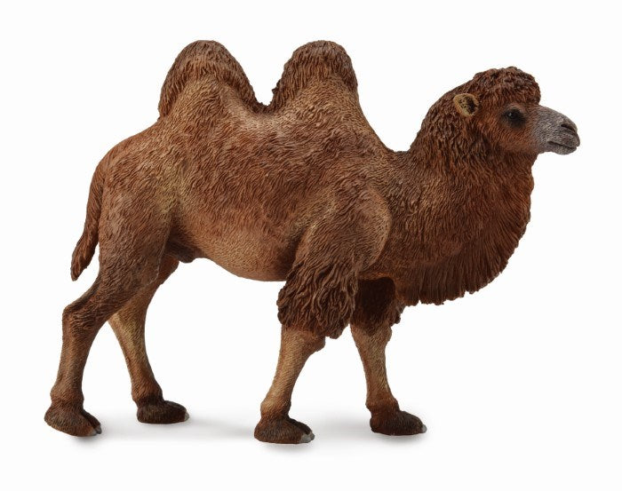 CollectA Bactrian Camel Figurine L (7726503264482)