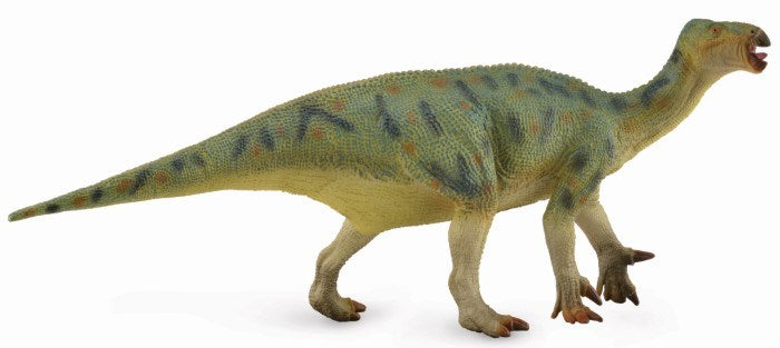 CollectA Iguanodon Deluxe 1:40 Scale Figurine DLX (8262278545634)