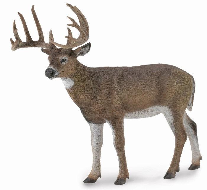 CollectA White Tailed Deer Figurine L (8262281527522)