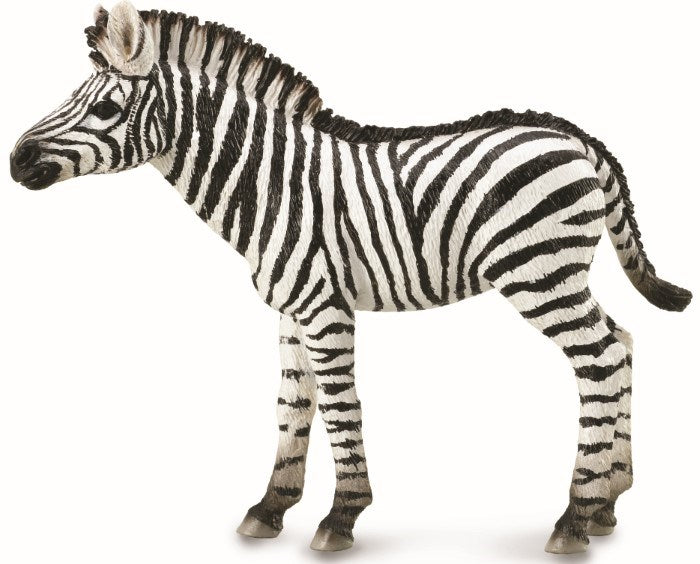 CollectA Zebra Foal Figurine M (8262280839394)