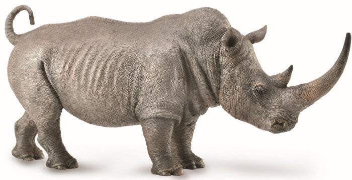 CollectA White Rhinoceros Figurine XL (8262281789666)