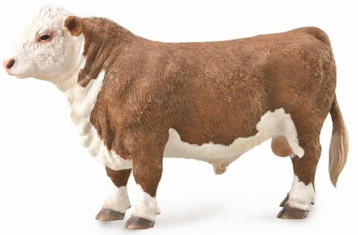 CollectA Hereford Bull-Polled Figurine L (6899059622070)