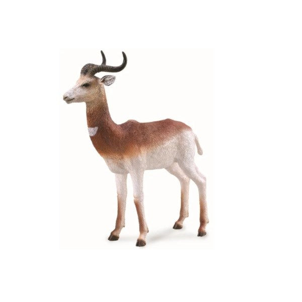CollectA Dama Gazelle Figurine L (6899051495606)
