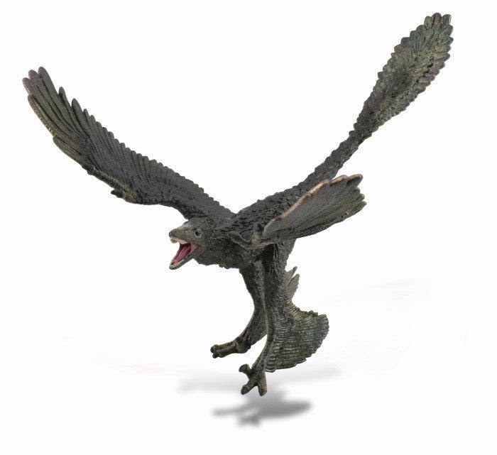 CollectA Microraptor 1:6 Scale Figurine XL (8030074667234)