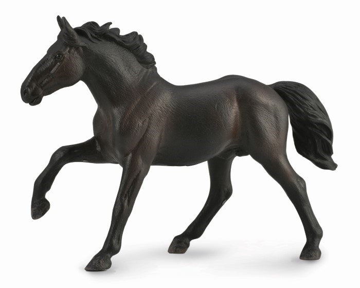CollectA Nonius Stallion 1:20 Scale Figurine XL (6899047170230)