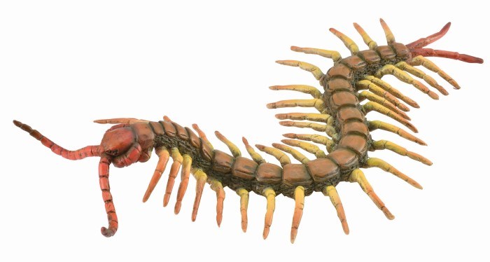 CollectA Centipede Figurine L (8262284181730)